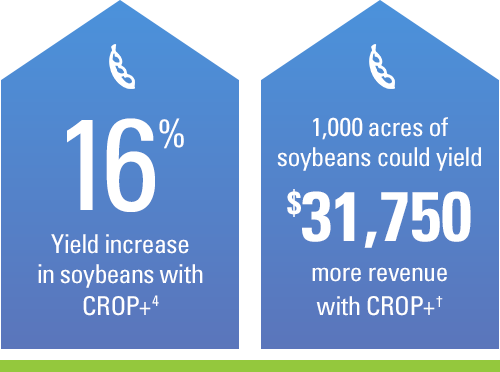 16% yield increase in soybeans with CROP+. 1,000 acres of soybeans could yield $31,750 ROI with CROP+.